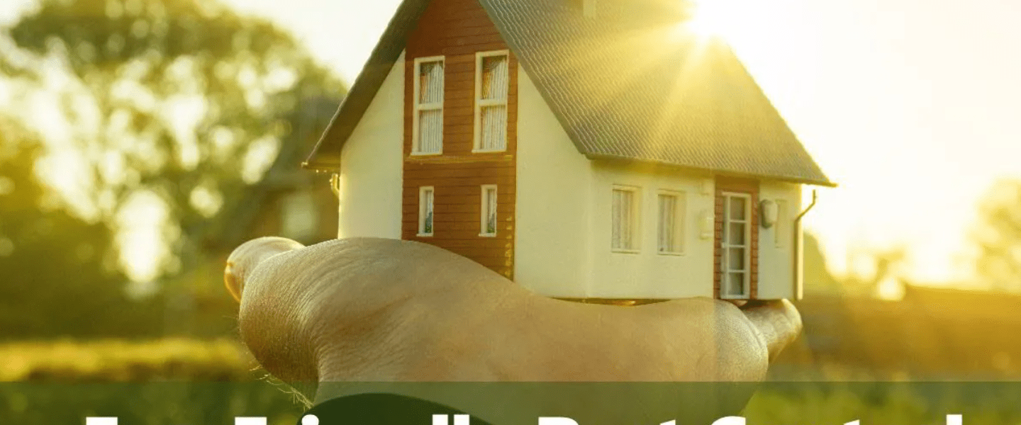 Eco-Friendly Pest Control Solutions