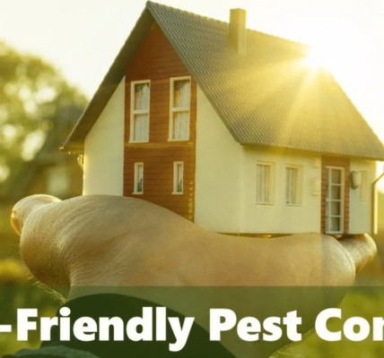 Eco-Friendly Pest Control Solutions