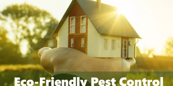 Eco-Friendly Pest Control Solutions