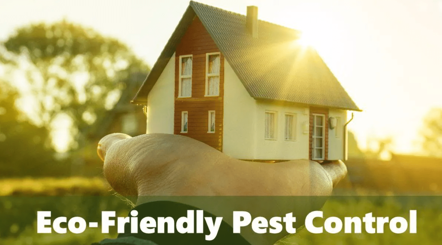 Eco-Friendly Pest Control Solutions